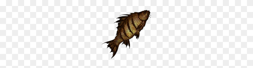 170x167 Image - Fried Fish PNG