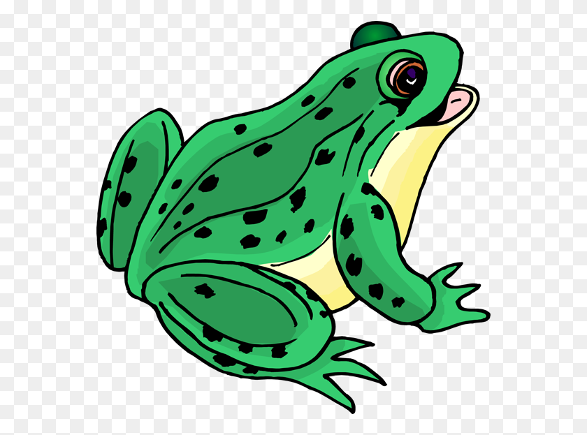 564x563 Image - Frog And Toad Clipart