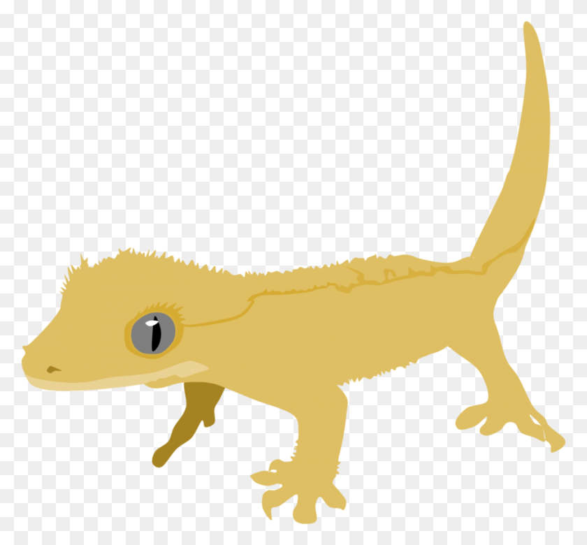 900x831 Image - Gecko PNG