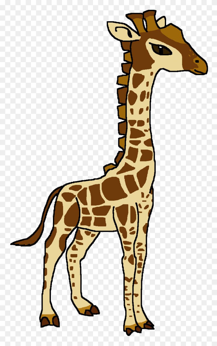 794x1300 Image - Giraffe PNG