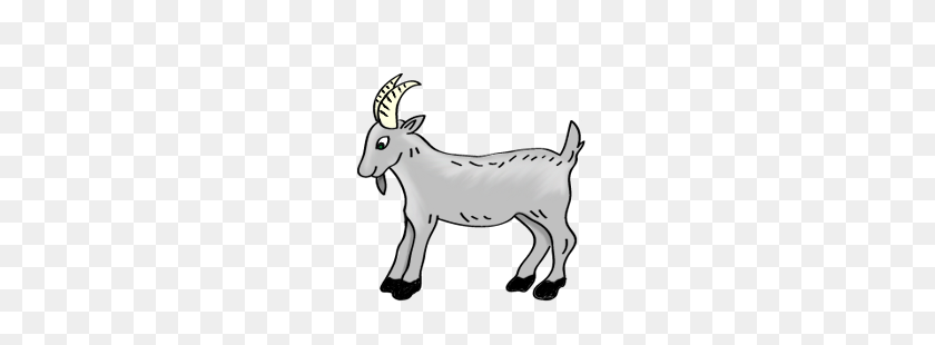250x250 Image - Goat PNG