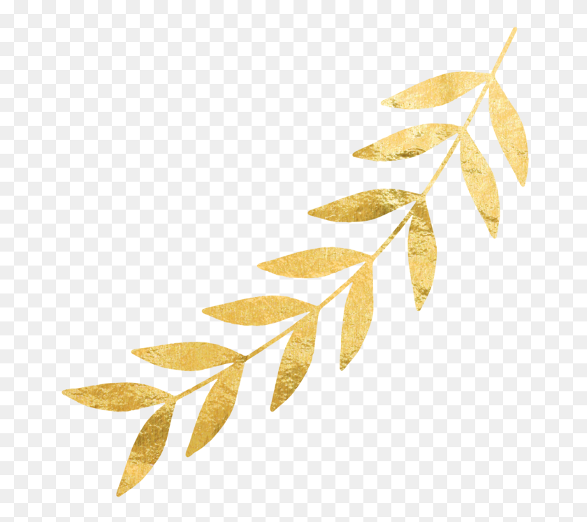 679x687 Image - Gold Leaf PNG