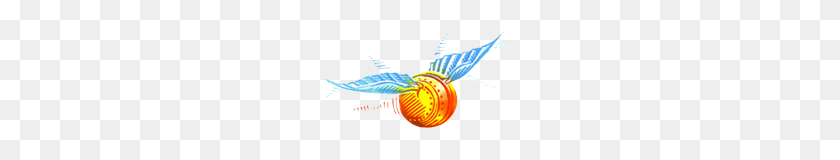 192x100 Image - Golden Snitch PNG