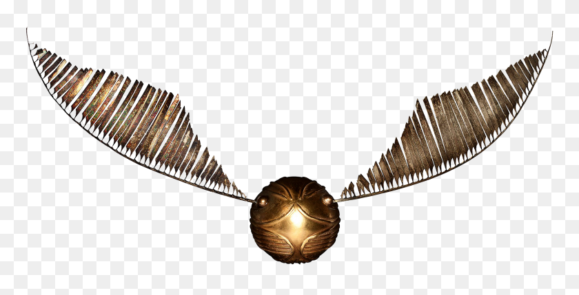 3000x1420 Image - Golden Snitch PNG