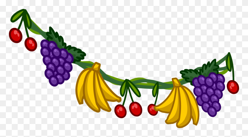 2722x1412 Image - Grape Vine PNG