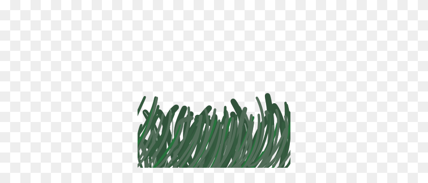 300x300 Image - Grass PNG