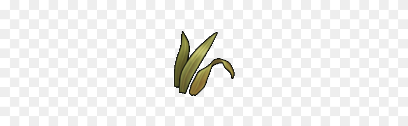 200x200 Image - Grass PNG
