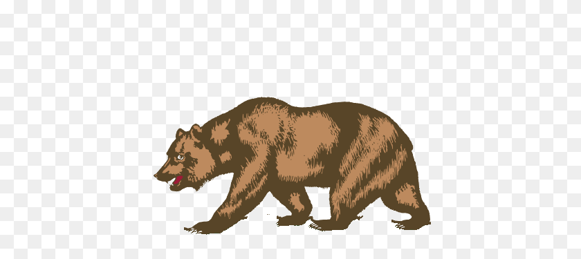 420x315 Imagen - Oso Grizzly Png