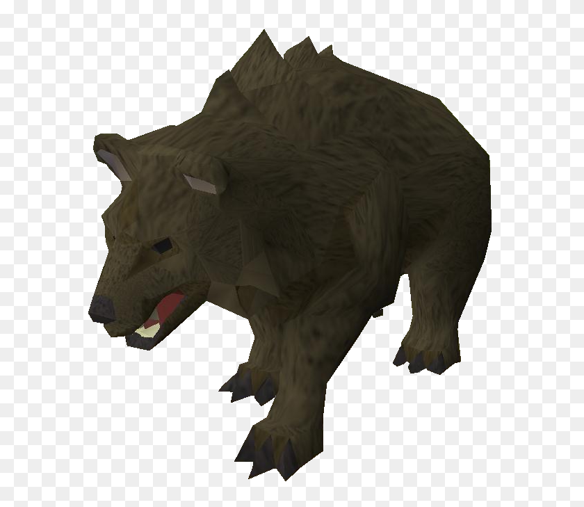 602x669 Imagen - Oso Grizzly Png