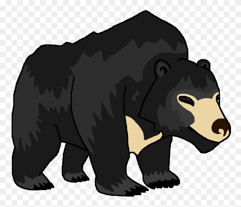 965x822 Imagen - Oso Grizzly Png