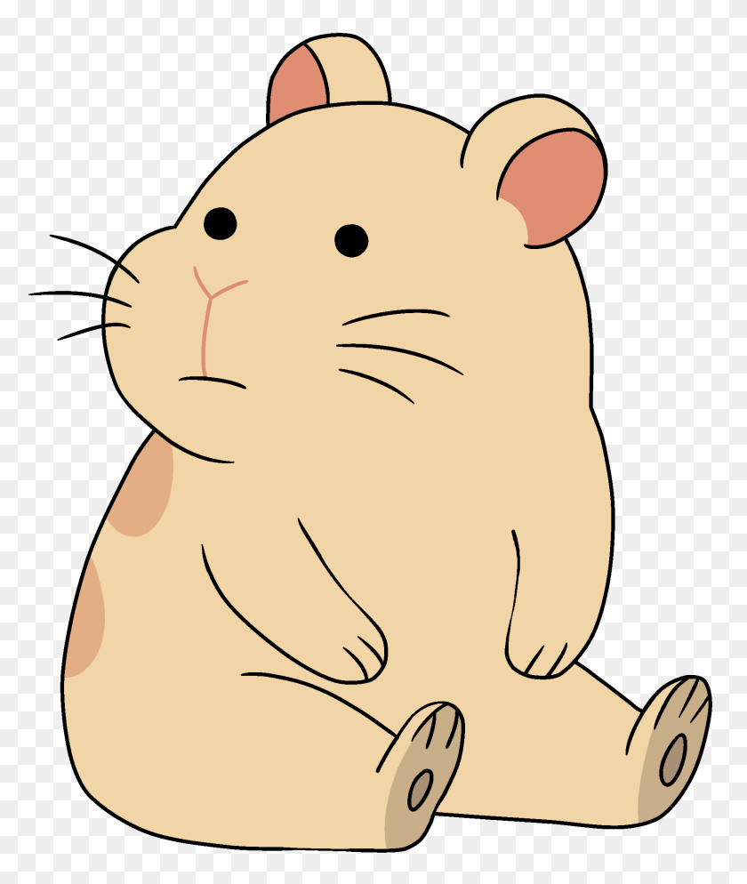 1818x2178 Image - Hamster PNG