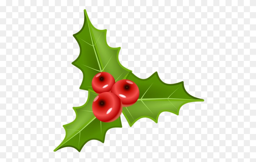 500x472 Image - Holly PNG
