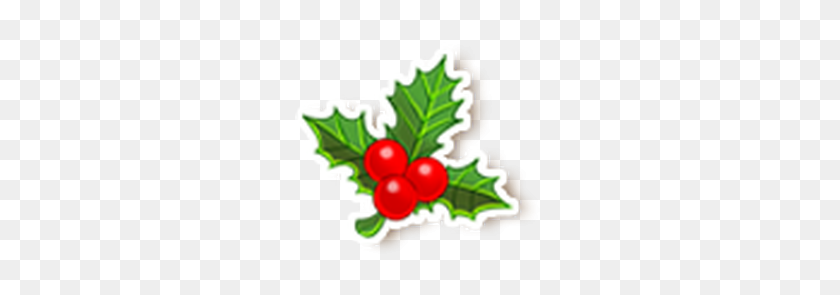 250x235 Image - Holly PNG