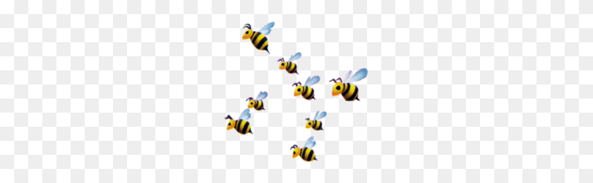 205x200 Image - Honey Bee PNG