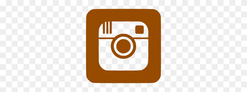 256x256 Imagen - Logotipo De Instagram Png