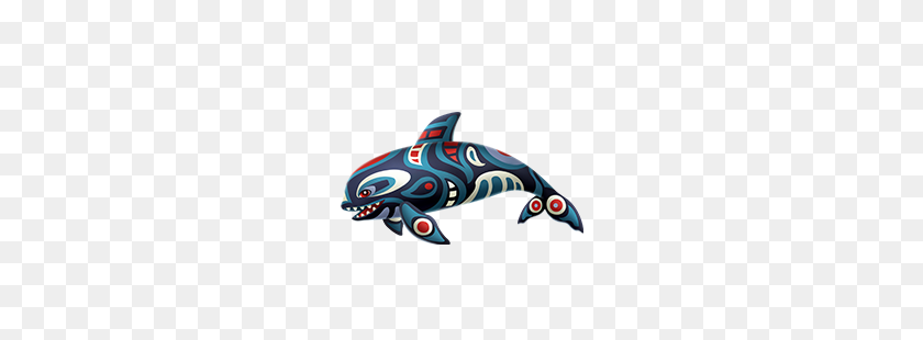 250x250 Image - Killer Whale PNG