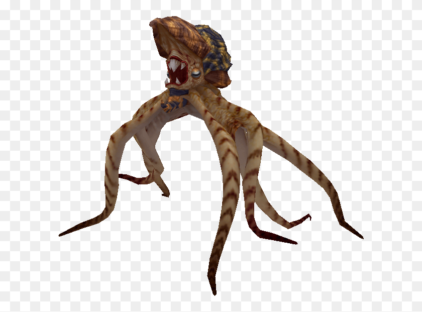 613x561 Image - Octopus PNG