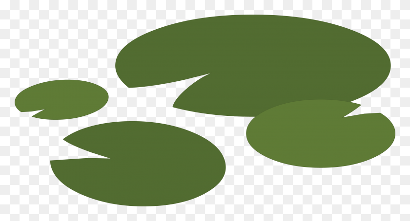 2933x1483 Image - Lily Pad PNG