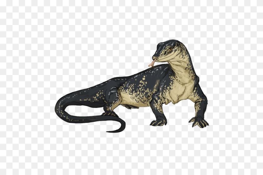 500x500 Image - Lizard PNG