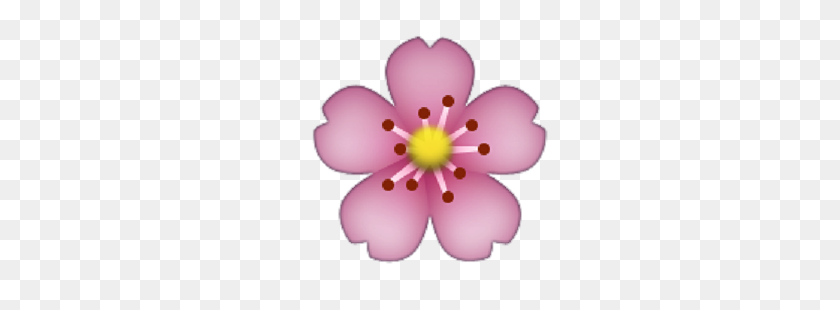 300x250 Image About Flower In Emoji - Flower Emoji PNG