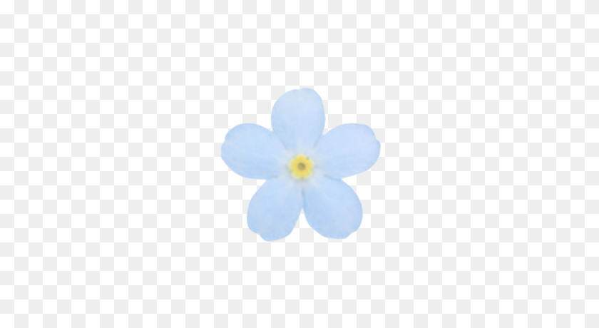 400x400 Image About Flowers In Transparent - Tumblr Flower PNG