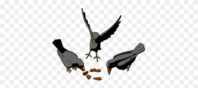 400x314 Image Download Seeds And Birds - Eating Clipart Black And White