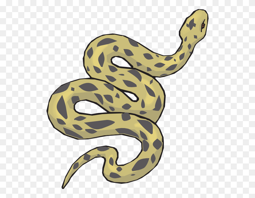 534x594 Image Of Anaconda Clipart Snake Head Clip Art Vector - Snake Head Clipart