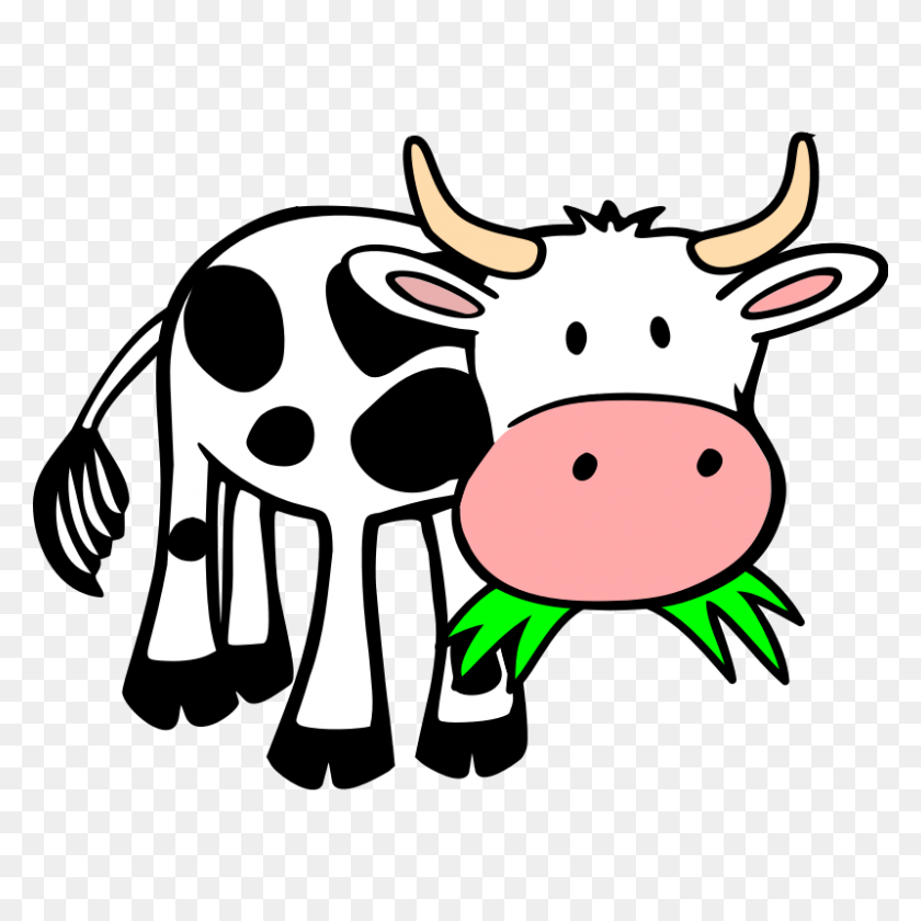 800x800 Image Of Cows - Angus Cow Clipart