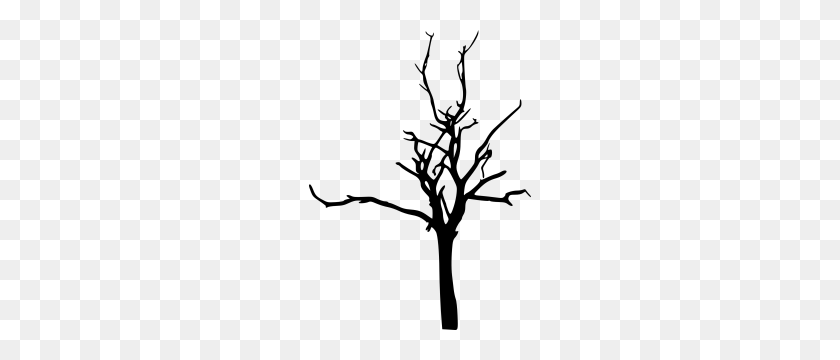 222x300 Image Result For Bare Tree Mmsins Bare Tree - Bare Tree Clipart Black And White