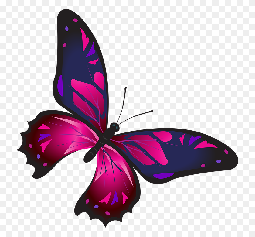 731x720 Image Result For Flower Butterflies Birds Borders Line Png - Flower Line PNG