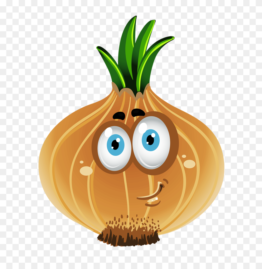 630x800 Image Result For Onion And Garlic Clipart - Onion Clipart