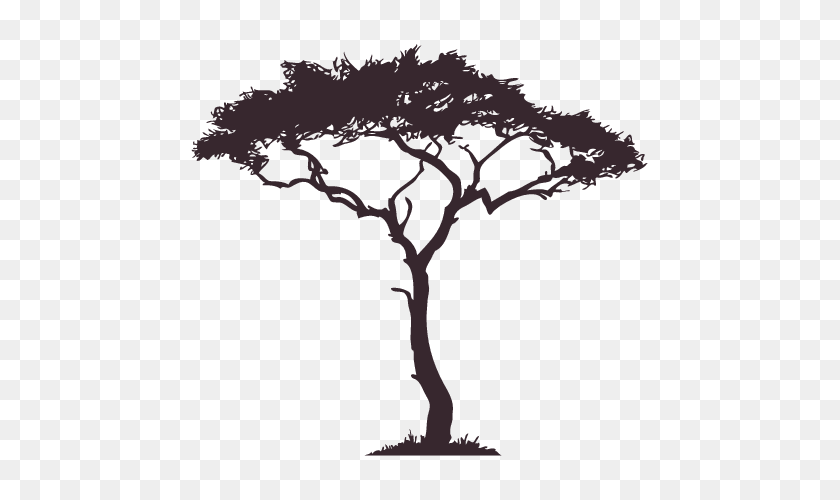 707x440 Image Result For South African Tree Drawings Tattoos - African Tree Clipart
