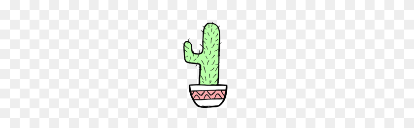 240x200 Imagen De Cactus Y Cactus Transparente - Tumblr Cactus Png