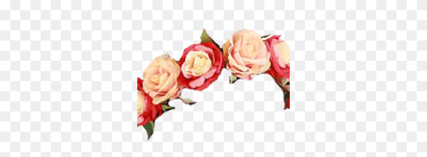 300x250 Imágenes Sobre Superposiciones De Corona De Flores En We Heart It See More - Corona De Flores De Color Rosa Png