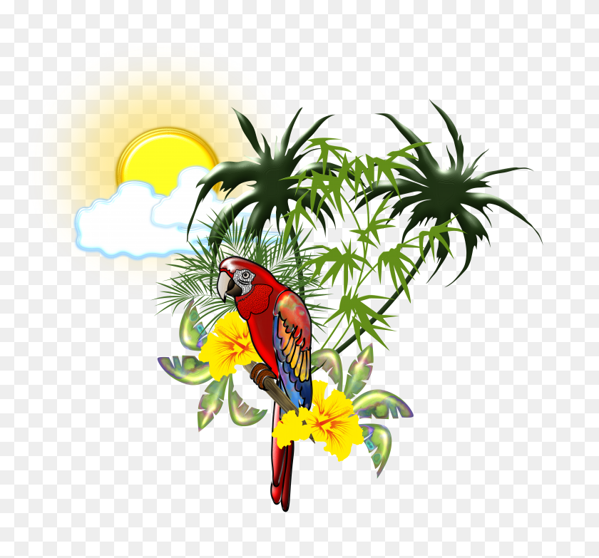 6000x5564 Images Category Definition Top Tropical Island - Tropical PNG