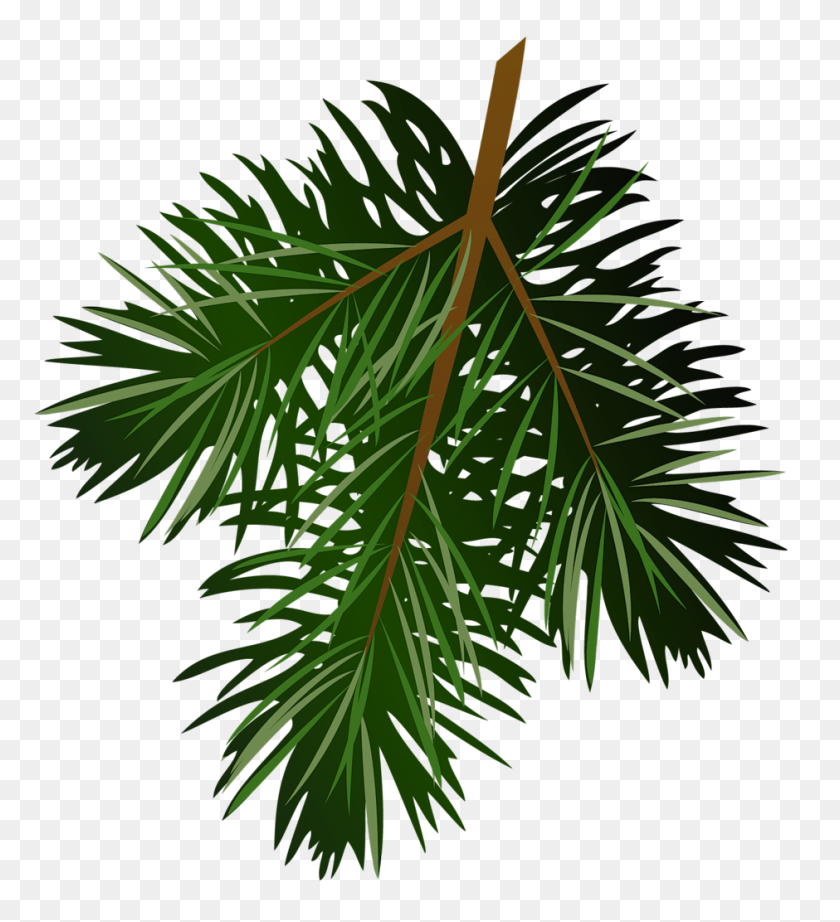 940x1040 Images For Pine Branch Clip Art - Pine Clipart
