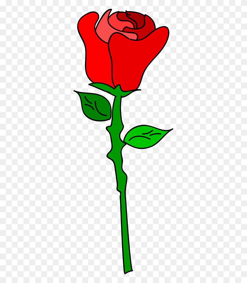 339x900 Images Of A Rose - Rose With Thorns Clipart