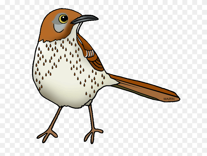 648x573 Images Of Georgia State Bird United States Clip Art Phillip Martin - Important Information Clipart