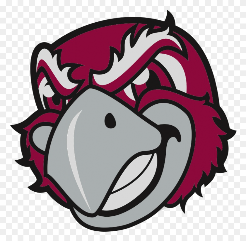 796x777 Imleagues Roanoke College Intramural Home - Wiffle Ball Clipart