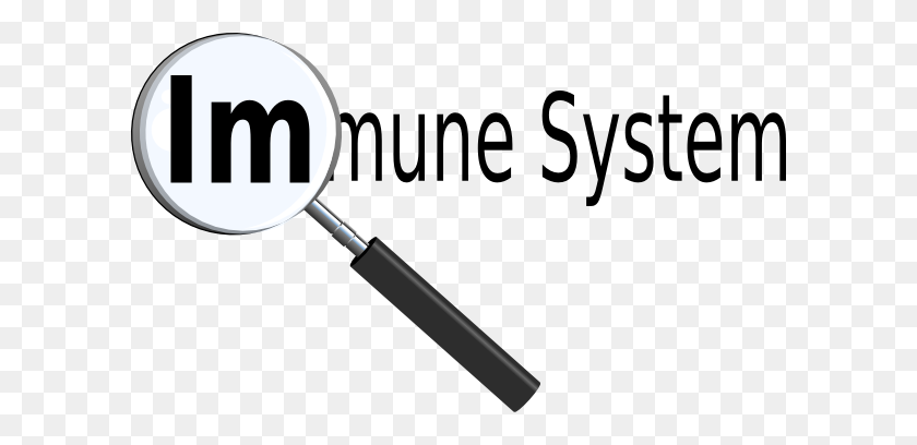 600x348 Immune System Title With Magnifying Glass Clip Art - Title Clipart