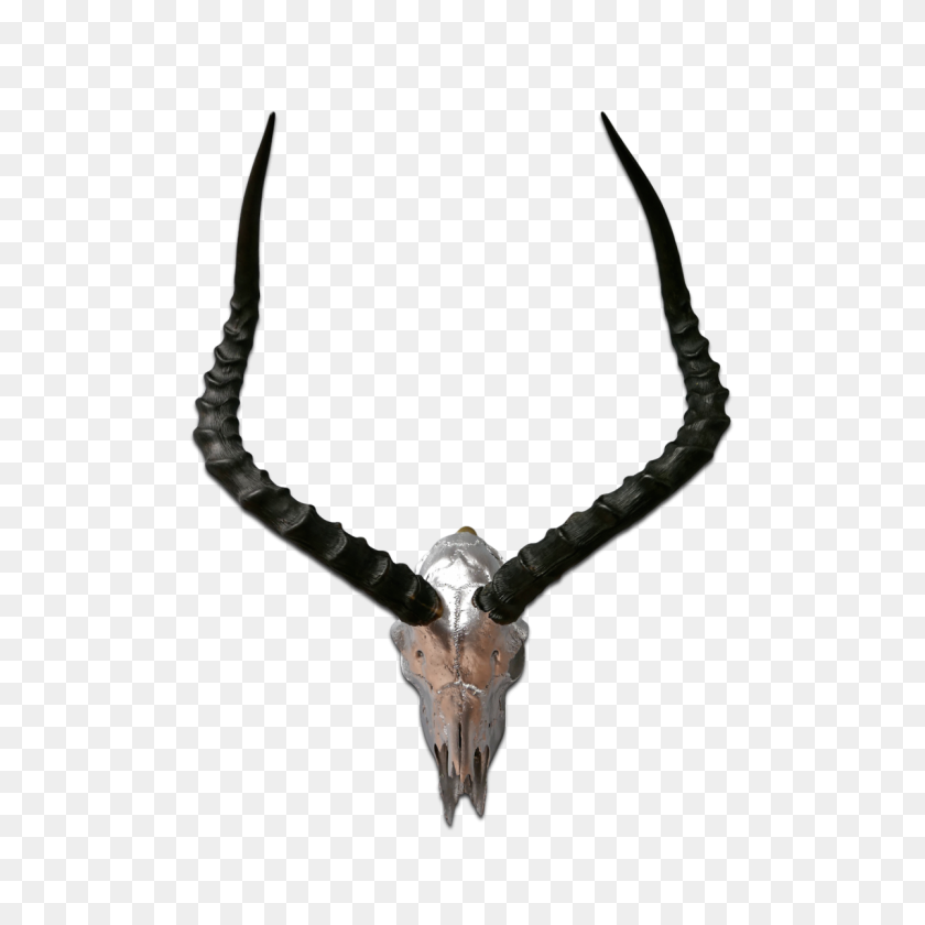 1200x1200 Impala Skull - Bull Skull PNG