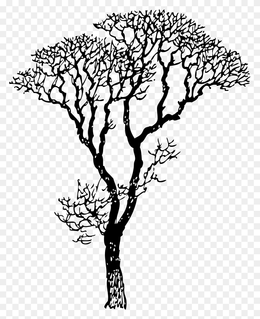 1969x2448 Впечатляющие Черные Деревья Клипарт - Фиговое Дерево Клипарт