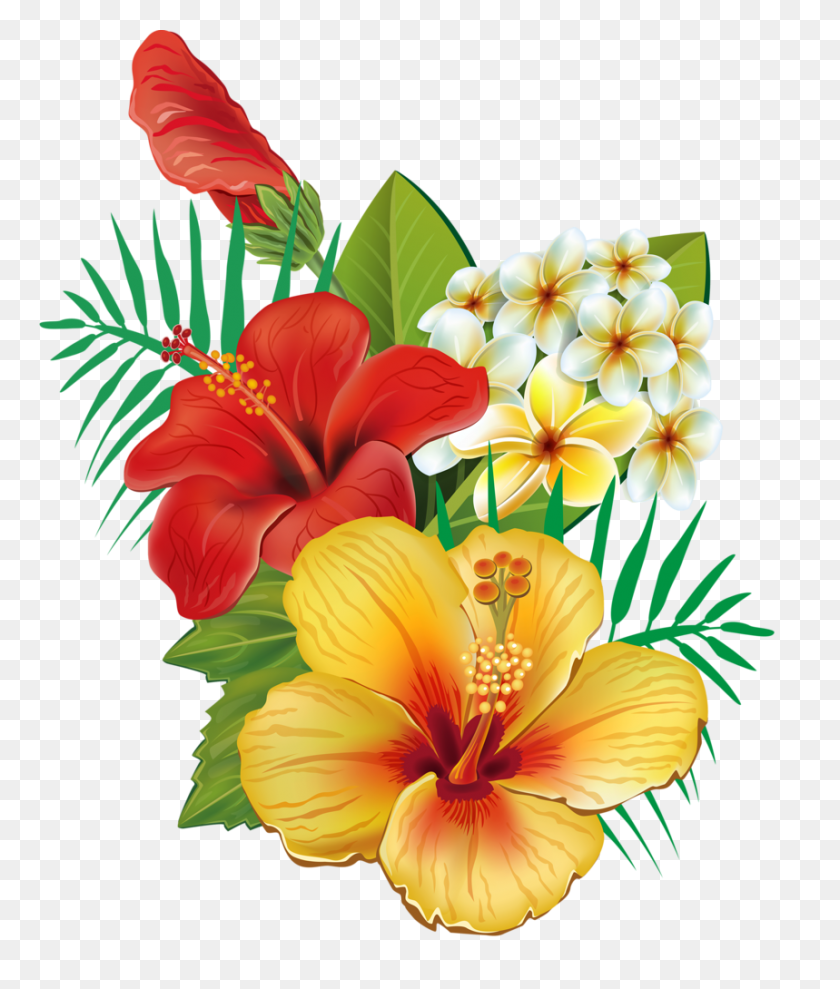 859x1024 In Painted Walls Flowers, Hibiscus - Tropical Plants PNG
