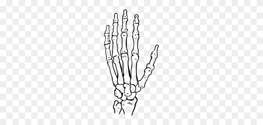 175x340 Index Finger Pointing Hand - Skeleton Hand Clipart