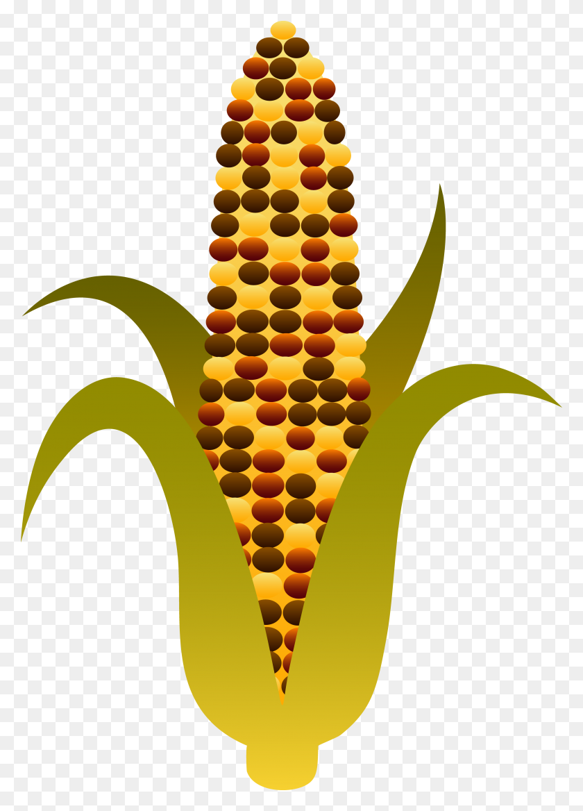 3751x5330 Indian Harvest Corn Maize - Obedience Clipart
