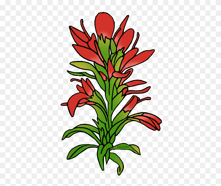 406x648 Indian Paintbrush Cliparts Free Download Clip Art - Indian Corn Clipart