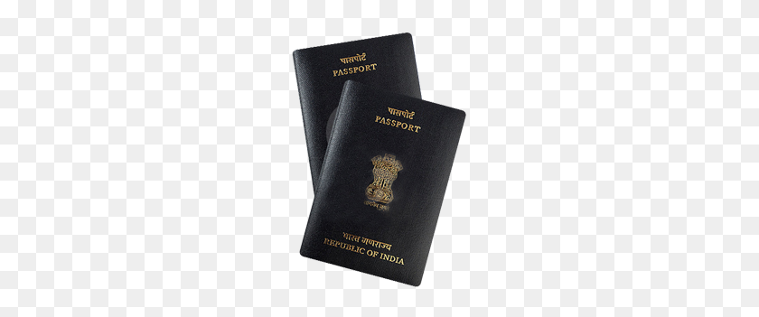 230x291 Indian Passport Png Png Image - Passport PNG