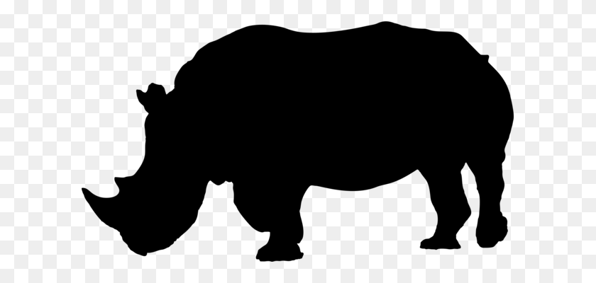 609x340 Индийский Носорог Свинья Живая Природа - Свинья Силуэт Png
