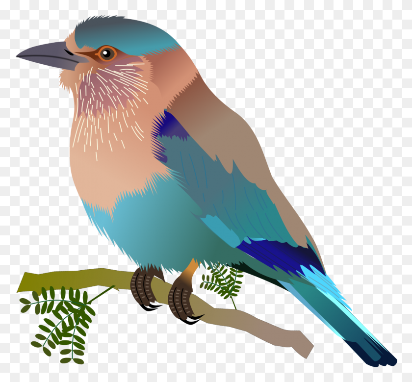 1110x1024 Indian Roller - Blue Jay PNG