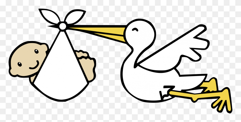 1593x750 Infant Child White Stork Bird - Stork And Baby Clipart